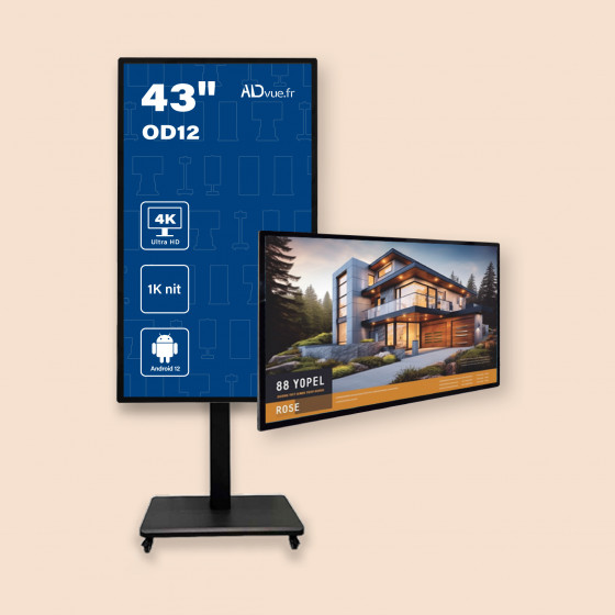 Ecran vitrine 43 pouces